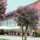 Foto zu Restaurant im Schloss Hotel Dresden-Pillnitz: Außenansicht Schlosshotel mit Terrasse