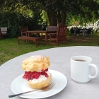 Foto zu Gartencafé Himbeerhof Steinwehr: 