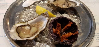 Fotoalbum: User Fotos