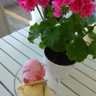 Foto zu Café im Obsthof Stubbe: 