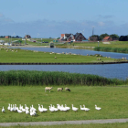 Foto zu Op'n Diek: 