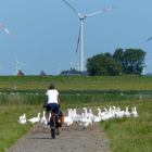 Foto zu Op'n Diek: 