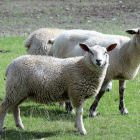 Foto zu Op'n Diek: 