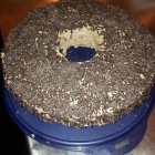 Foto zu Kdrei Café Lounge Bar: 