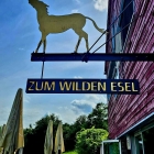 Foto zu Zum wilden Esel: .