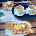 Foto zu Elefant am Strand: 