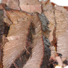 Foto zu Texas BBQ Grillcatering: 