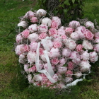 Foto zu Bruno der Butler: 