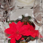 Foto zu Bruno der Butler: 