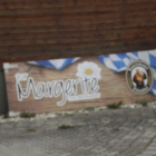 Foto zu Zur Margerite: 