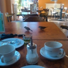 Foto zu Yildiz Bäckerei und Eiscafe: 