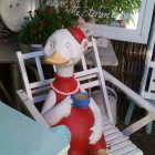 Foto zu Gartencafe: 