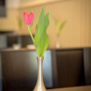 Neu bei GastroGuide: Restaurant Samos