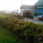 Foto zu Sommercafé und Restaurant Hafen Rankwitz: 