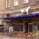 Foto zu Café Chagall: 