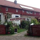 Foto zu Naschkatze: Naschkatze