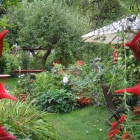 Foto zu Naschkatze: Naschkatzengarten