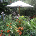 Foto zu Naschkatze: Naschkatzengarten