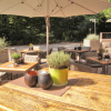 Neu bei GastroGuide: Vicco's