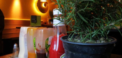 Fotoalbum: User Fotos