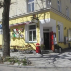 Foto zu Solo Pizza: 