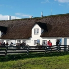 Foto zu Hallig Krog | Nationalparkstätte: 
