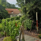 Foto zu Eppard in der Hundertguldenmühle: 