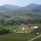 Foto zu Weingut Dr. Steiner: 