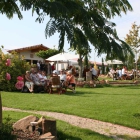 Foto zu Weingut Dr. Steiner: 