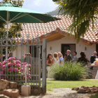 Foto zu Weingut Dr. Steiner: 