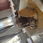 Foto zu La Piazzetta: Eis