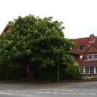 Foto zu Friesenstube: 