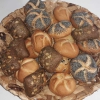 Neu bei GastroGuide: Fingerfoodservice