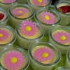 Neu bei GastroGuide: Fingerfoodservice