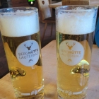 Foto zu Berghütte Lauterbad: .