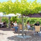 Foto zu Wein-& Sektmanufaktur Nikolaus Thul: 