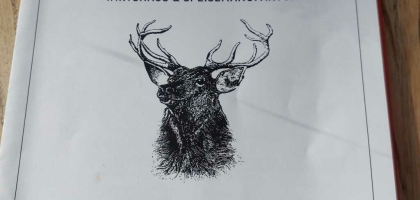 Bild von Münchner Stubn