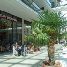 Foto zu Berlin Coffee: 