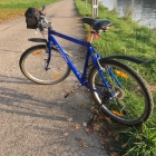 Foto zu Zur Moselterrasse: 