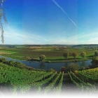 Foto zu Zur Moselterrasse: 