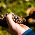 Foto zu Zur Moselterrasse: 