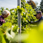 Foto zu Zur Moselterrasse: 