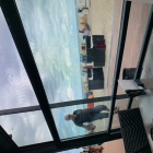 Foto zu Restaurant Vörn Diek: Blick nach deaußen