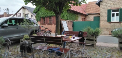 Bild von Restaurant Pfälzer Genuss Fraktion