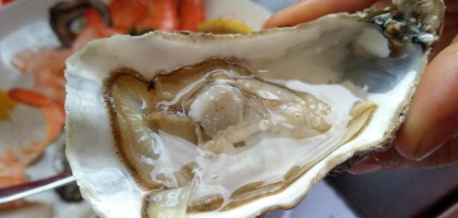 Bild von Restaurant Pfälzer Genuss Fraktion