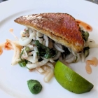 Rotbarbe auf asiatischem Rettich-Salat