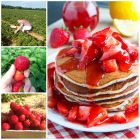 Foto zu Mr. Pancake Pancake House: 
