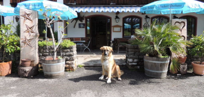 Bild von Berggasthof Wildensee