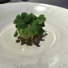 Neu bei GastroGuide: Restaurant Der Schneider