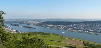 Bild von Restaurant Am Niederwald